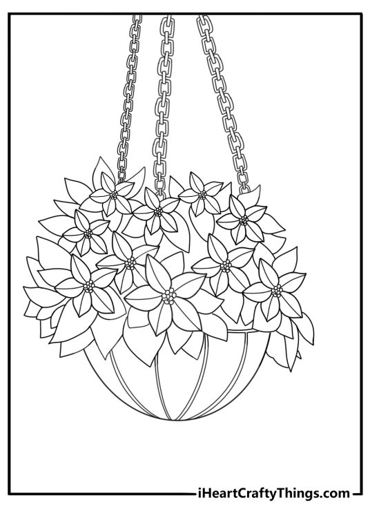 Poinsettia in a hanging basket for kids coloring sheet