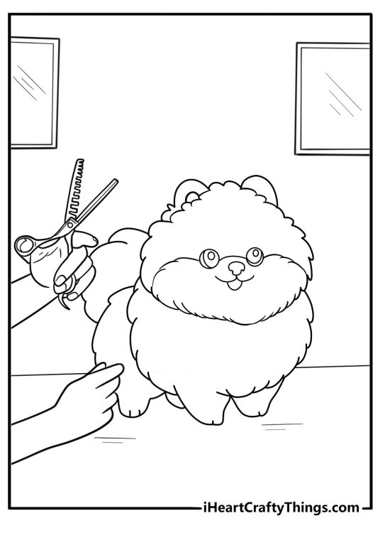 Pomeranian at the groomer with brushes cartoon coloring page