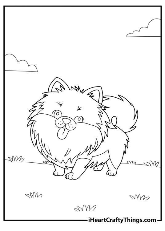 Pomeranian coloring pages