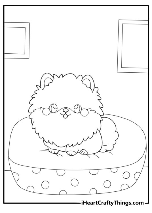 Pomeranian in a dog bed kawaii style coloring sheet