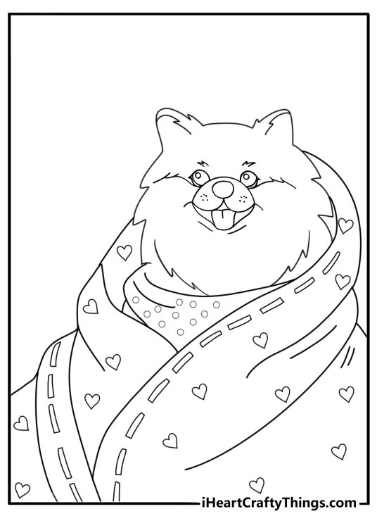 Pomeranian on a blanket with hearts kawaii cartoon coloring page