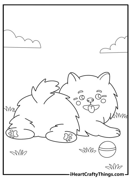 Pomeranian playing with a ball easy activity coloring sheet