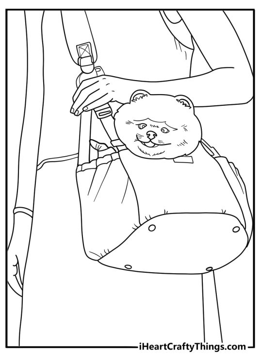 Pomeranian riding in a handbag fashion themed coloring sheet