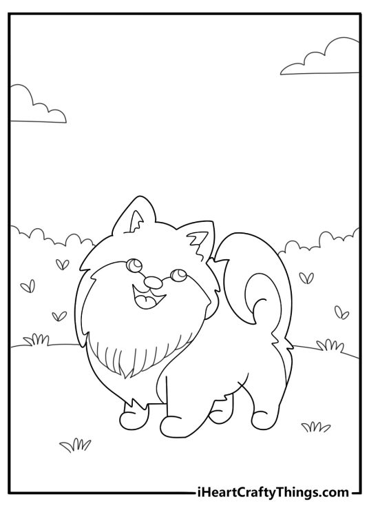 Pomeranian walking in the park fun pet coloring sheet