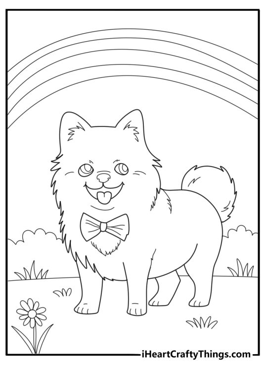 Pomeranian wearing a bow for kids coloring page
