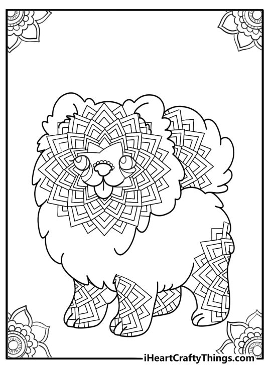 Pomeranian with long fluffy tail mandala style coloring page for adults