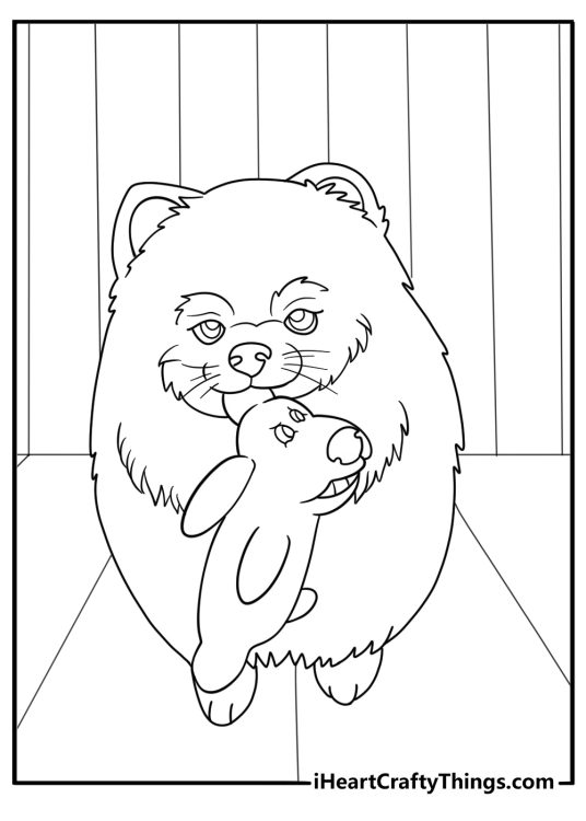 Pomeranian with small dog toys simple indoor scene coloring page
