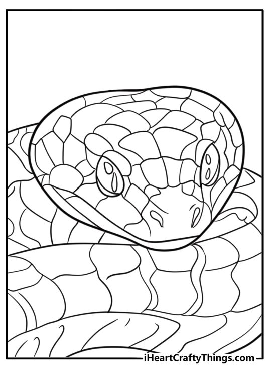 Realistic anaconda close up head view coloring page