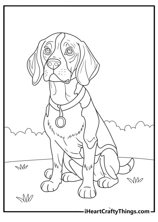 Realistic beagle with detailed fur pattern coloring sheet