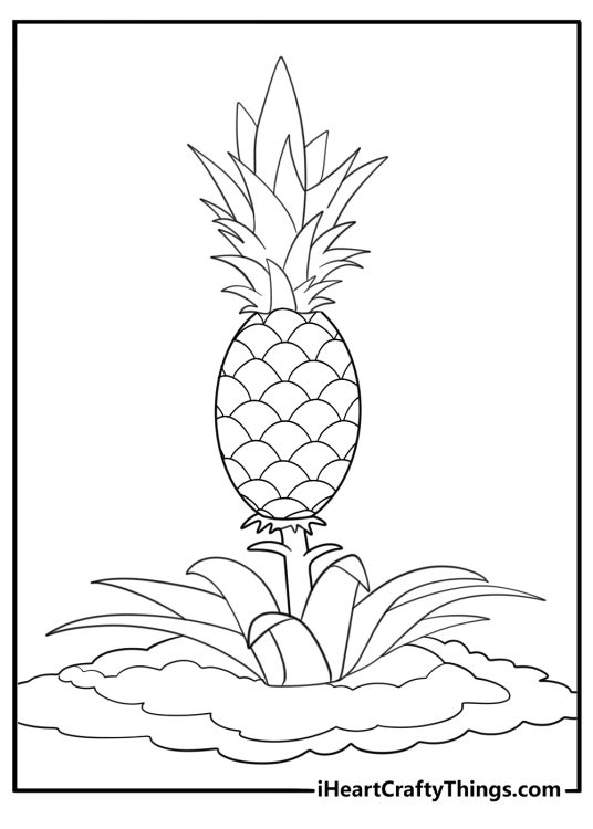 realistic pineapple plant growing from the ground coloring page