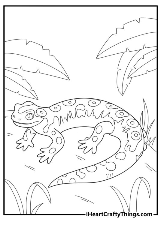 Salamander basking near a stream kawaii cartoon coloring sheet