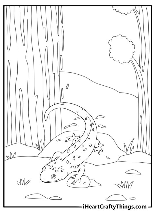 Salamander beside a waterfall detailed nature coloring sheet