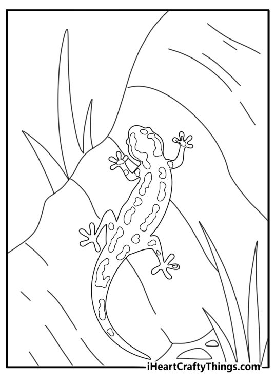 Salamander climbing over roots in a forest coloring sheet
