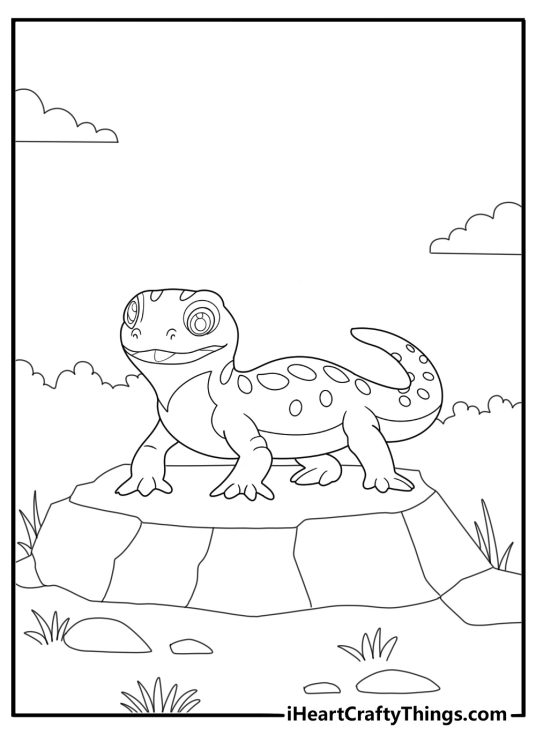 Salamander crawling on a rock easy coloring page for kids