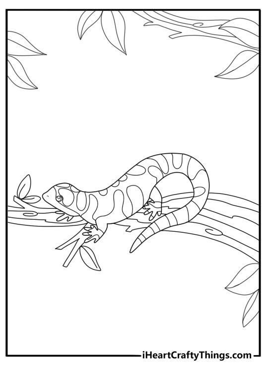 Salamander crawling over a branch fun coloring sheet