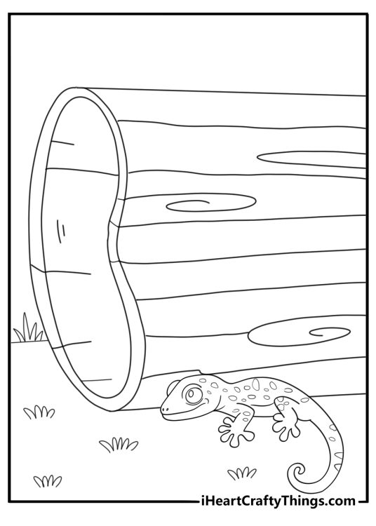 Salamander hiding under a log nature themed coloring sheet