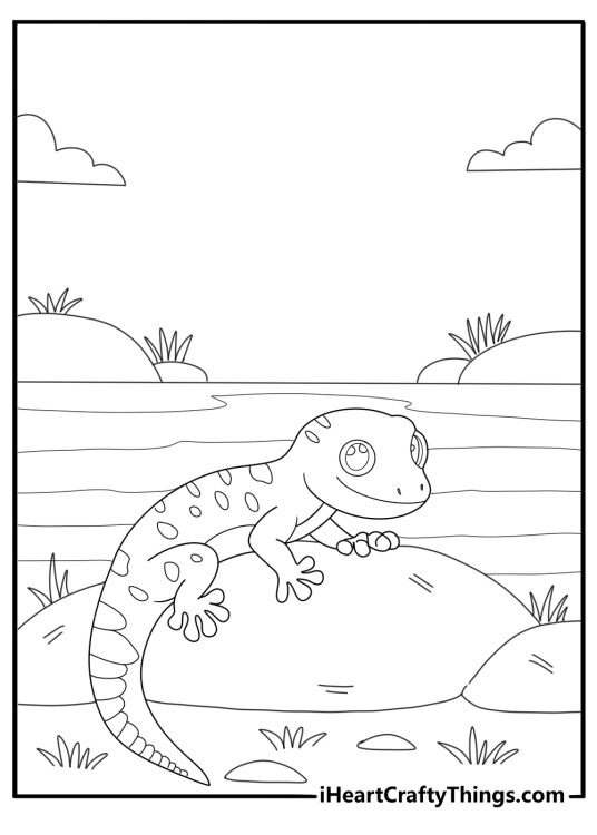 Salamander next to a small pond kawaii style coloring page