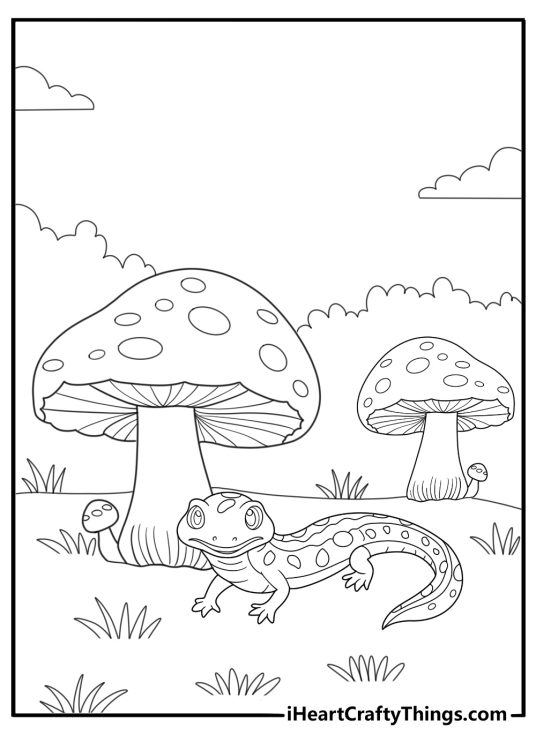 Salamander on a forest floor with mushrooms coloring page