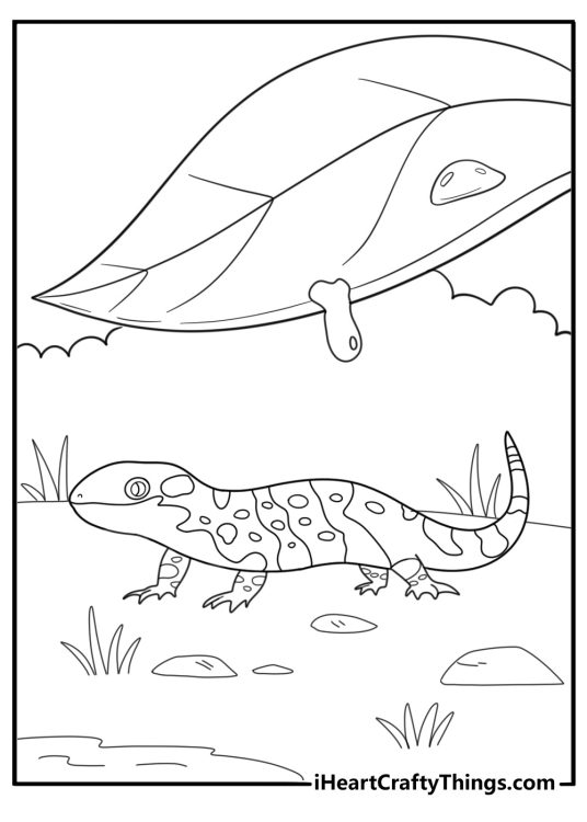 Salamander on wet ground after rain simple coloring page