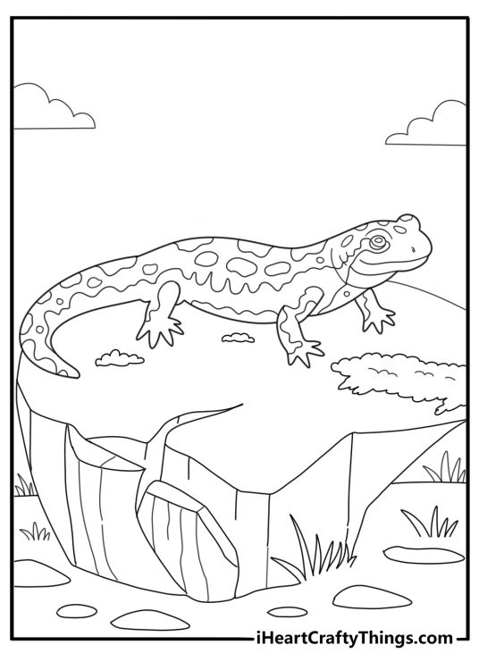 Salamander resting on a mossy stone cartoon coloring sheet
