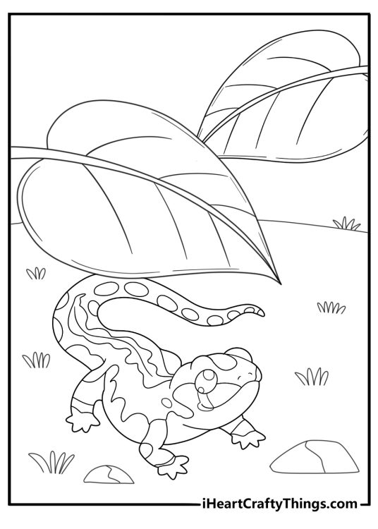 Salamander under large green leaves easy coloring sheet