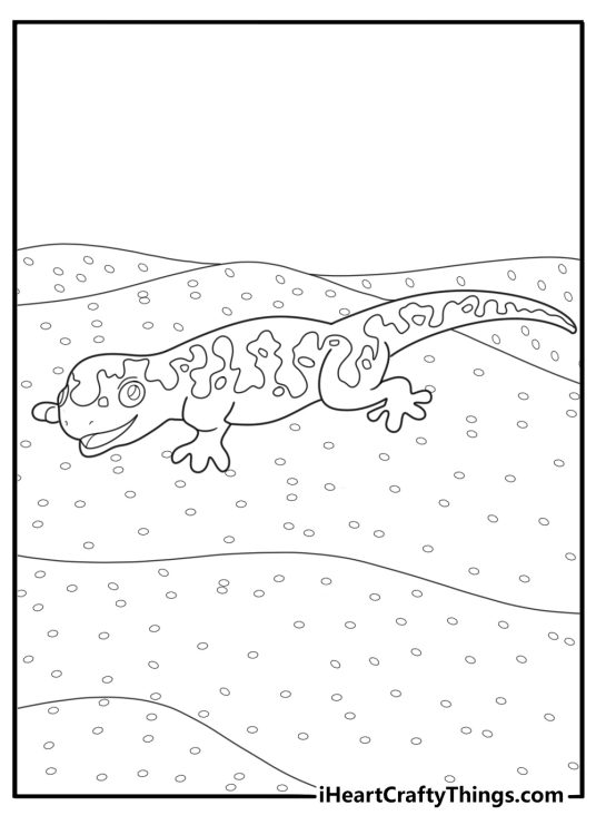 Salamander walking on sandy terrain coloring page