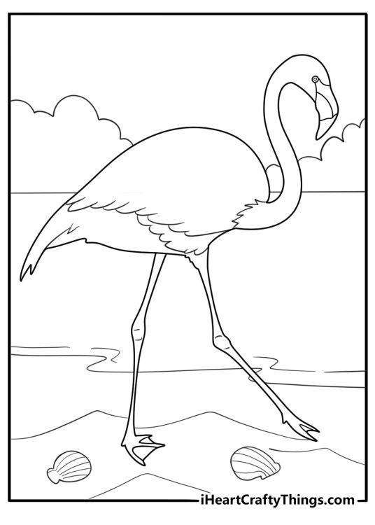 simple flamingo walking along the beach easy coloring sheet
