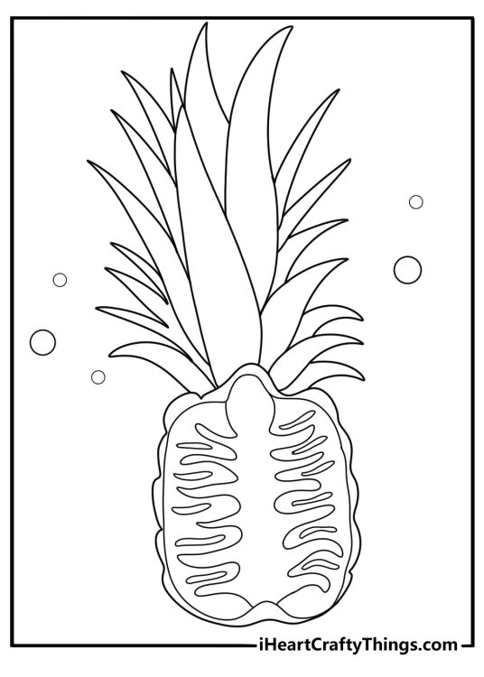 simple pineapple split in half showing inside coloring page