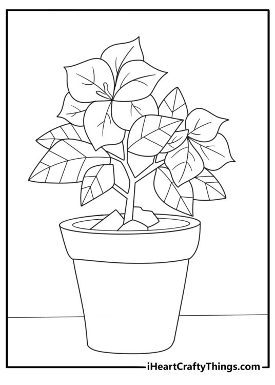 Simple poinsettia in a flower pot coloring page