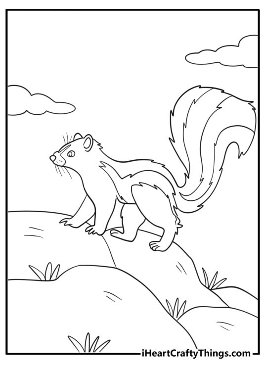 Skunk climbing over rocks coloring page for kids