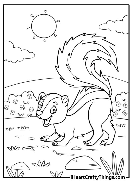 30 Skunk Coloring Pages
