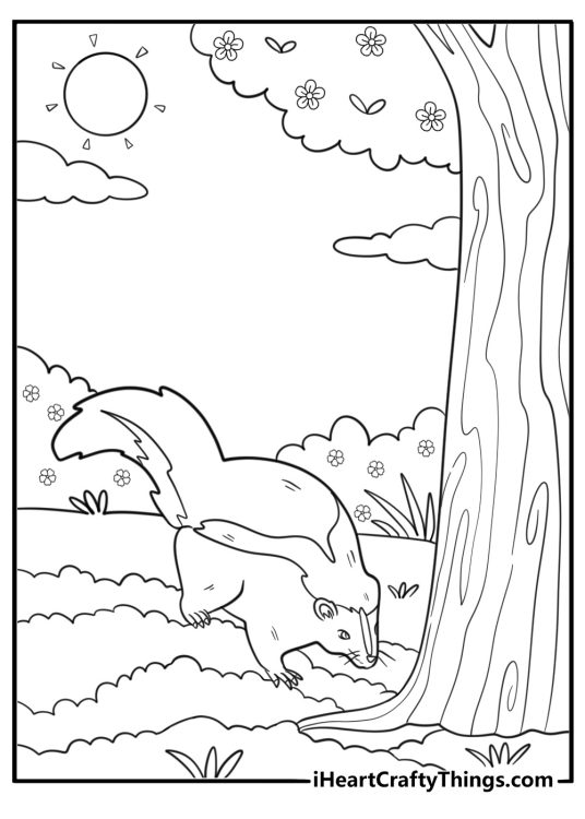 Skunk digging near tree roots coloring page