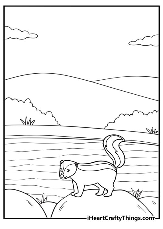 Skunk near a pond with reeds coloring page