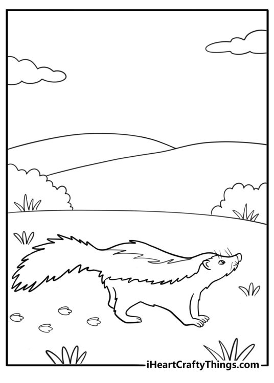 Skunk walking on a trail with animal tracks coloring page