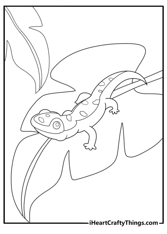 Spotted salamander walking through leaves simple coloring page