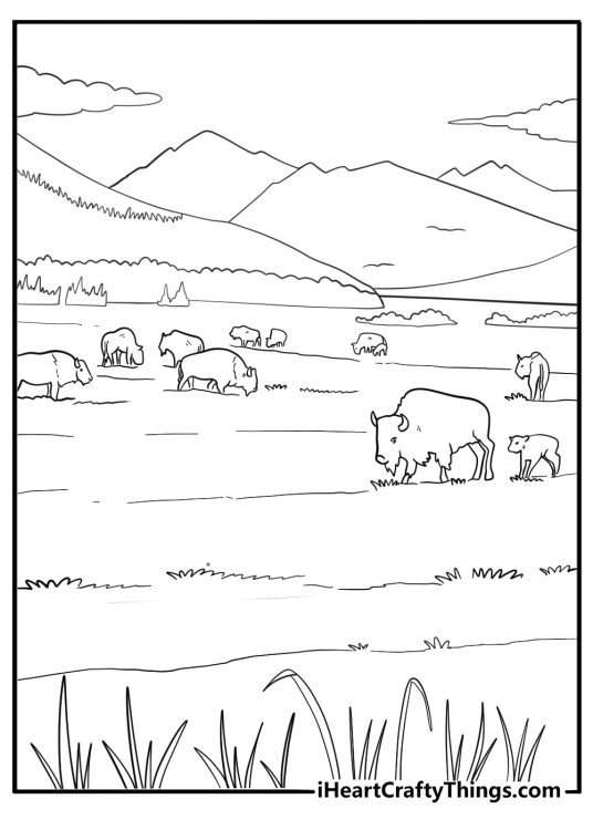 Wild bison herd in the distance simple landscape coloring sheet