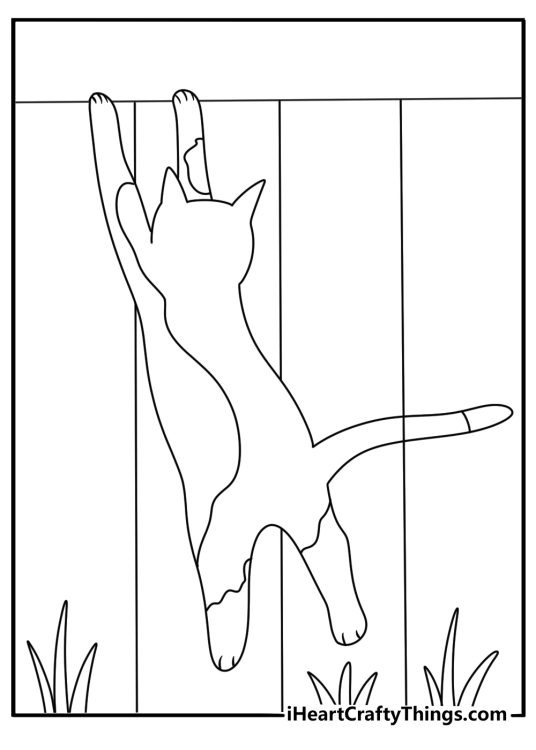 A cat climbs a wooden garden fence in this outdoor coloring page