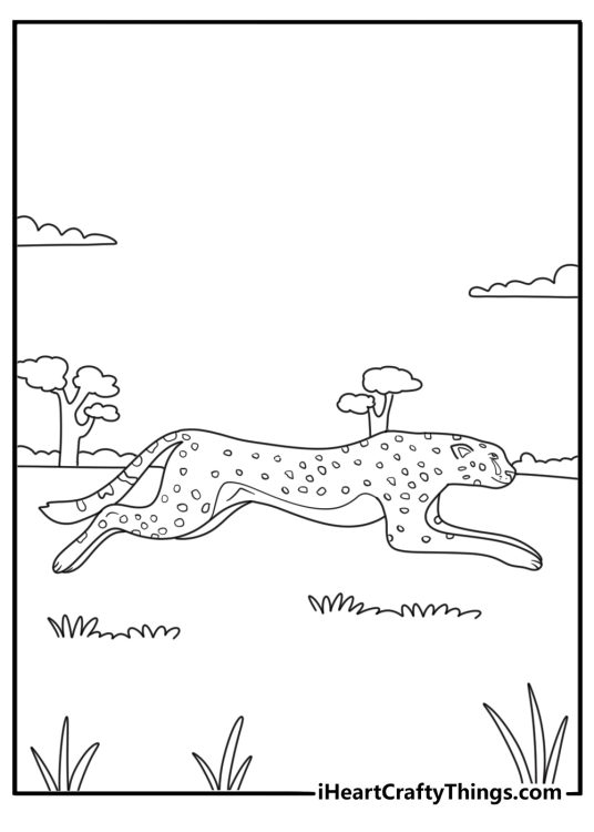 A cheetah runs across the savanna in this detailed coloring sheet