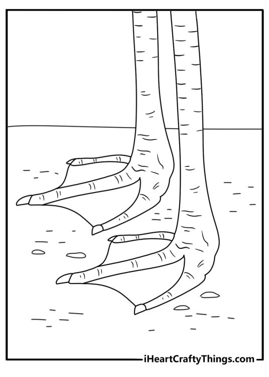 A close view of flamingo legs and webbed feet fills this printable page