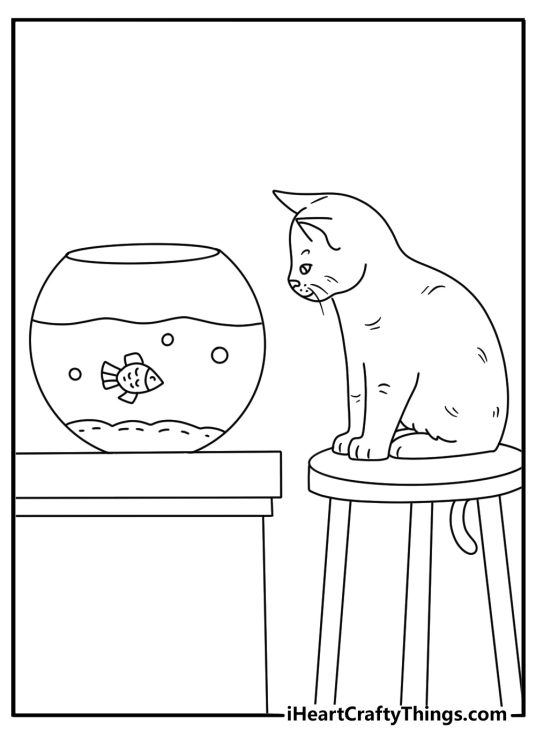 A curious cat watches an aquarium from a small stool