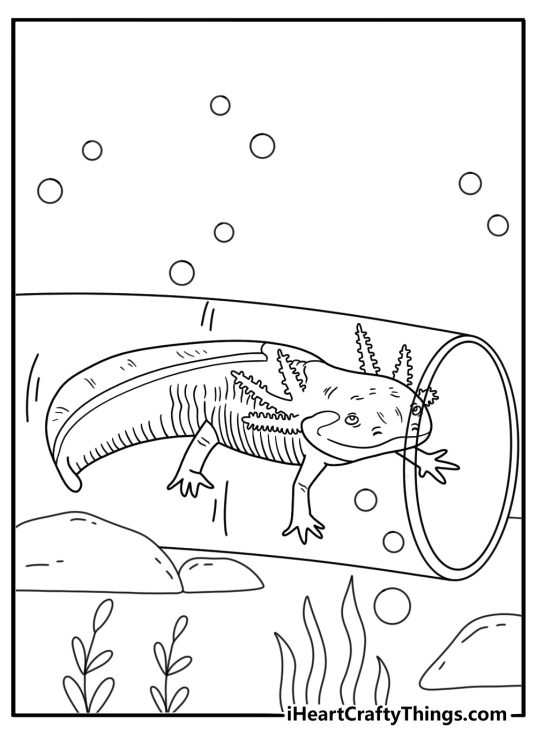 A dark axolotl moves past aquarium tubing in this printable coloring page