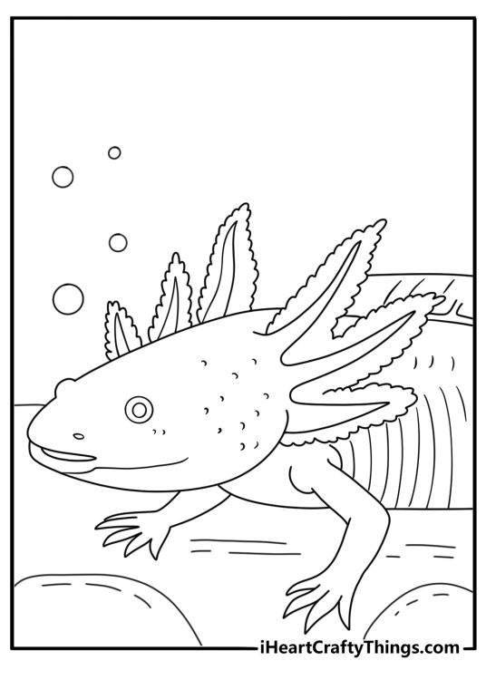 A detailed coloring sheet for adults features patterned external gills and fins