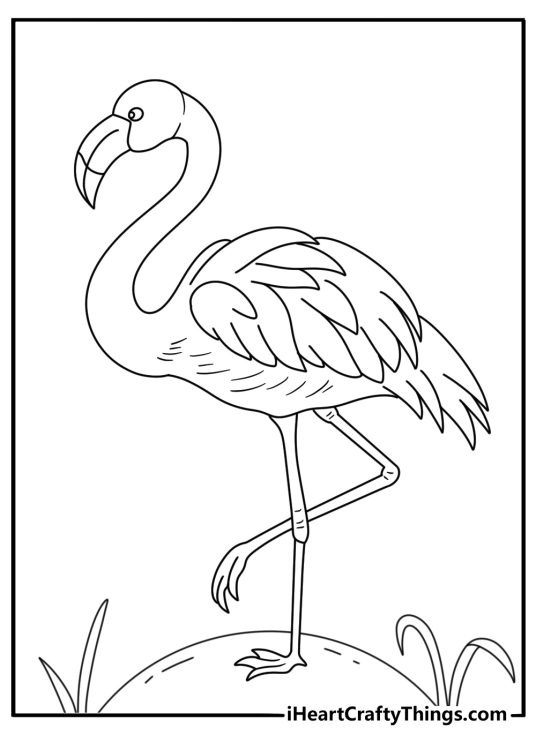 A detailed flamingo coloring page for adults features layered wing feathers