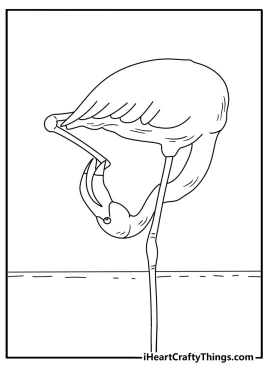 A flamingo lowers its head beneath its body in this free coloring sheet