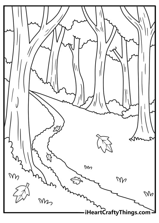 A forest trail covered in dry leaves makes this simple autumn sheet