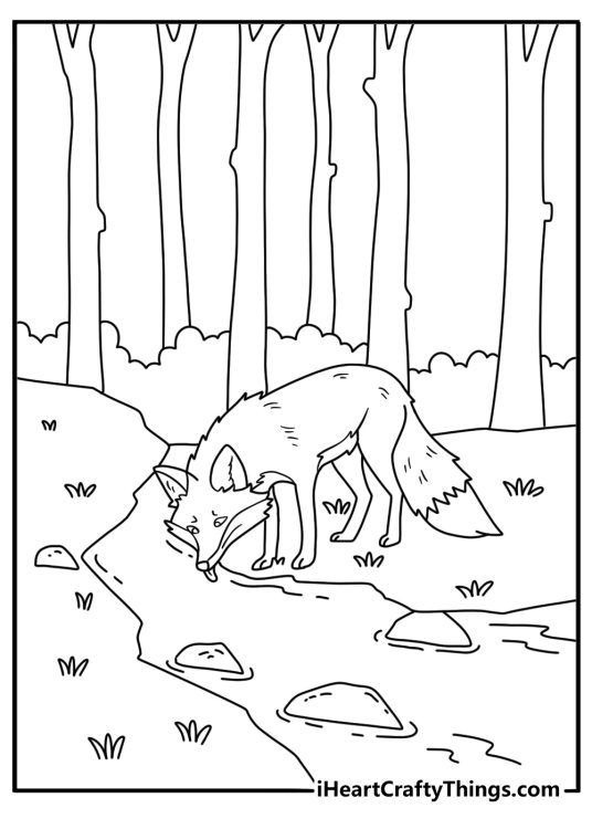 A fox drinks from a forest creek in this easy coloring sheet