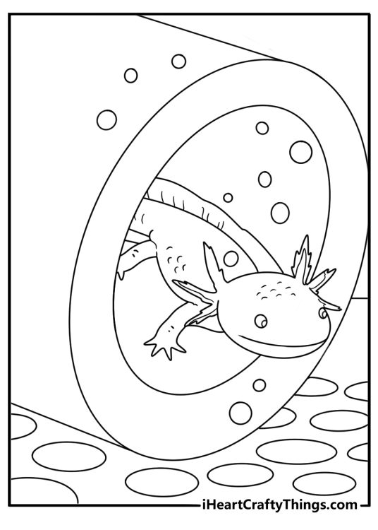 A golden axolotl rests beside a smooth ceramic tube in this coloring sheet
