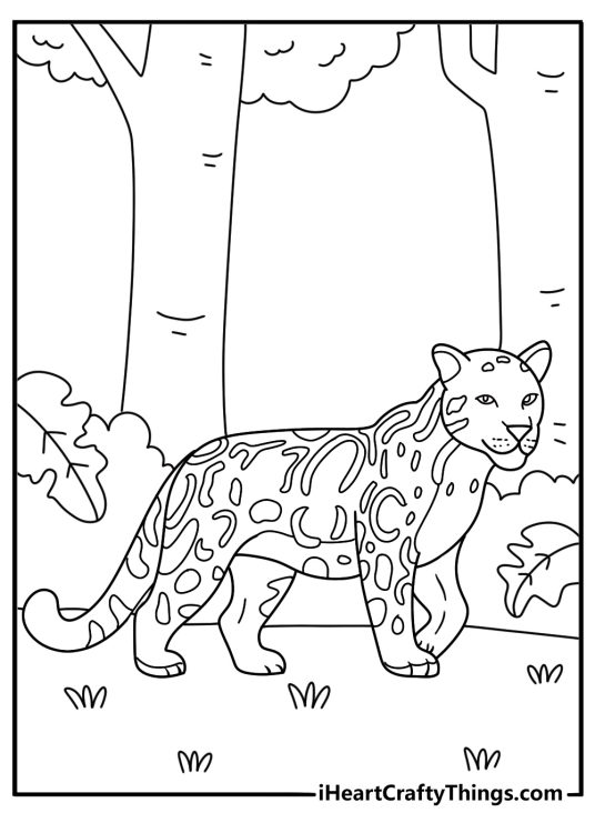A jaguar walks through jungle plants in this wildlife coloring page