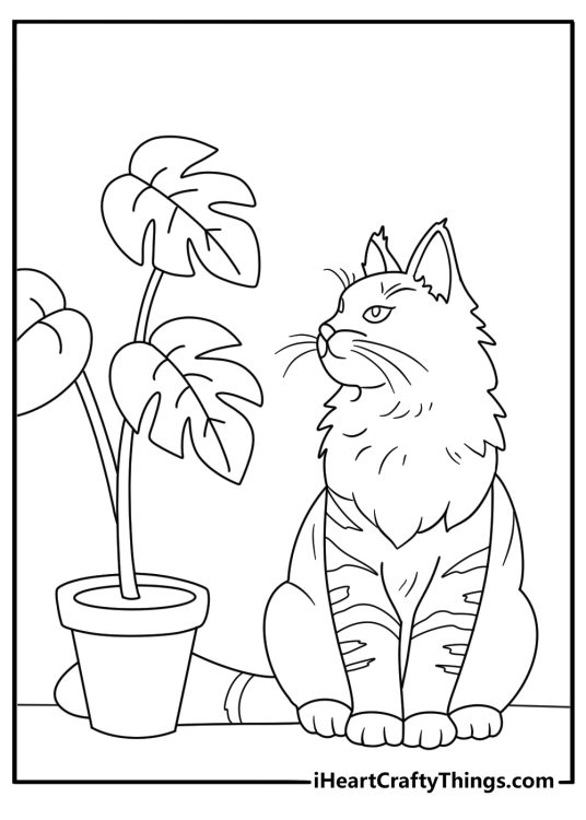 A long haired cat sits beside a houseplant in this detailed coloring sheet