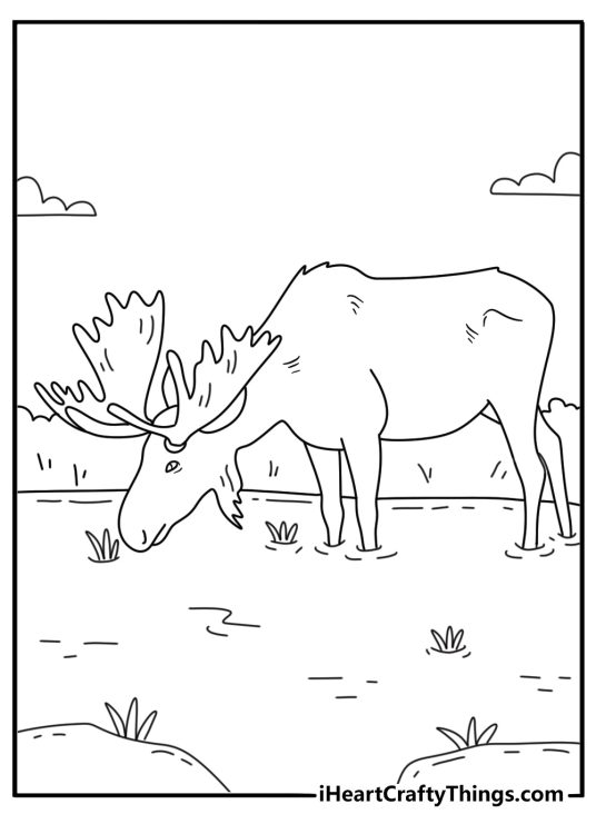 A moose feeds on water plants beside a marsh in this nature coloring page